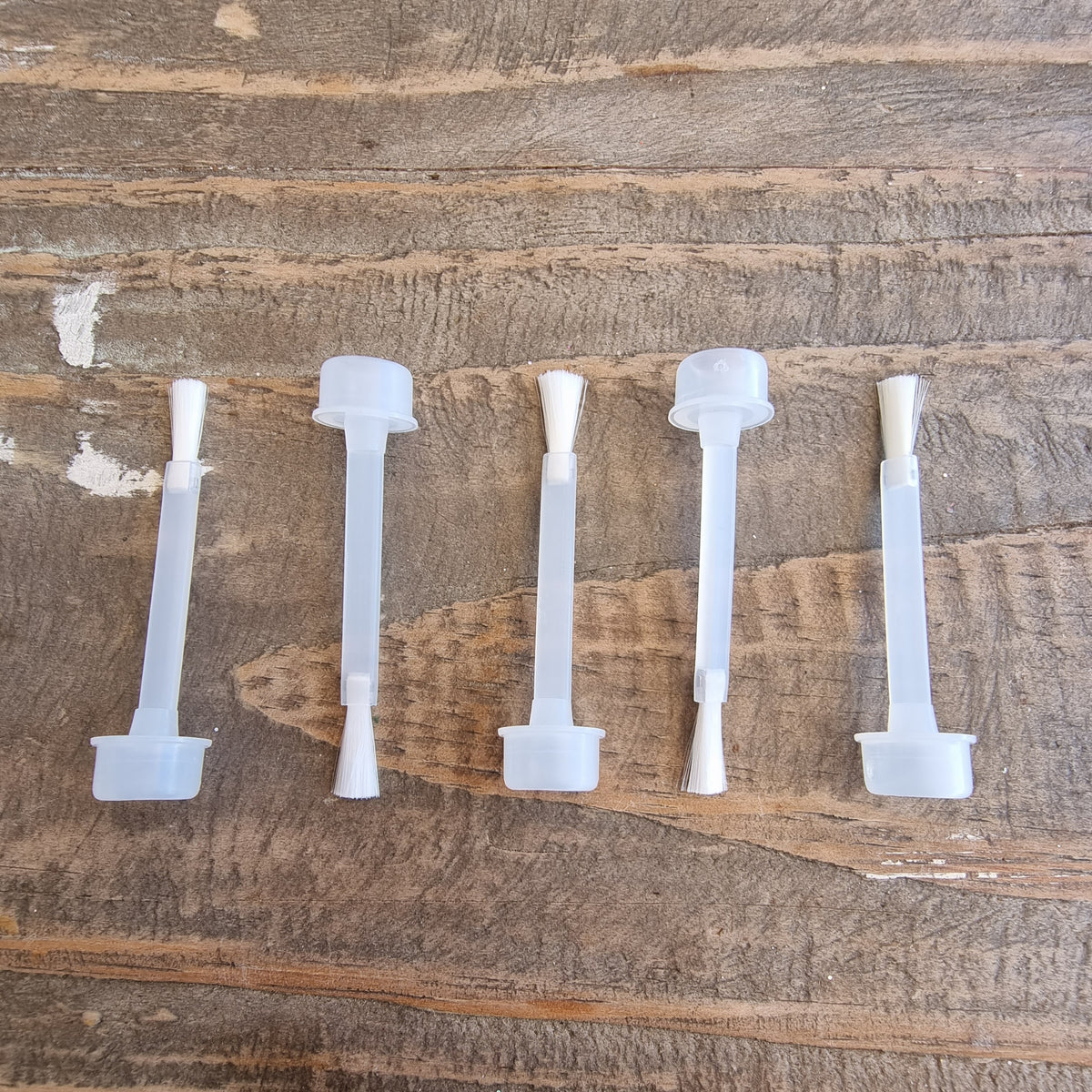 5 pieces of replacement brushes